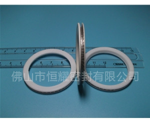 HVF、HVG端面內(nèi)、外向泛塞封 (10)