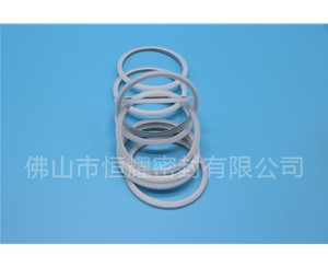 HVF、HVG端面內(nèi)、外向泛塞封 (15)