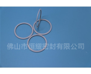 HVF、HVG端面內(nèi)、外向泛塞封 (20)