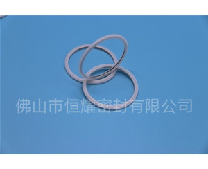 HVF、HVG端面內(nèi)、外向泛塞封 (21)